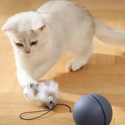 Interactive Cat Toy Ball – Battery - Image 7