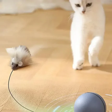 Interactive Cat Toy Ball – Battery - Image 6