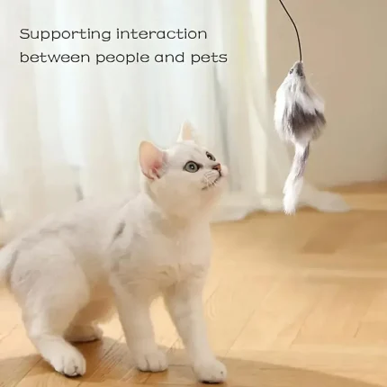 Interactive Cat Toy Ball – Battery - Image 4